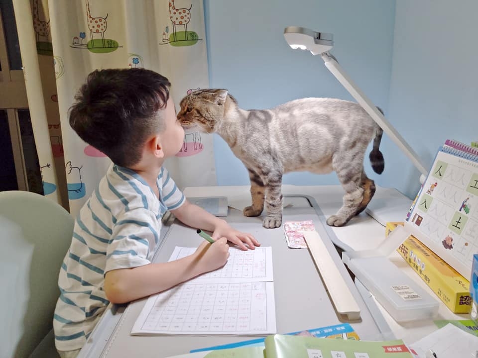 網友李小克小姐提供