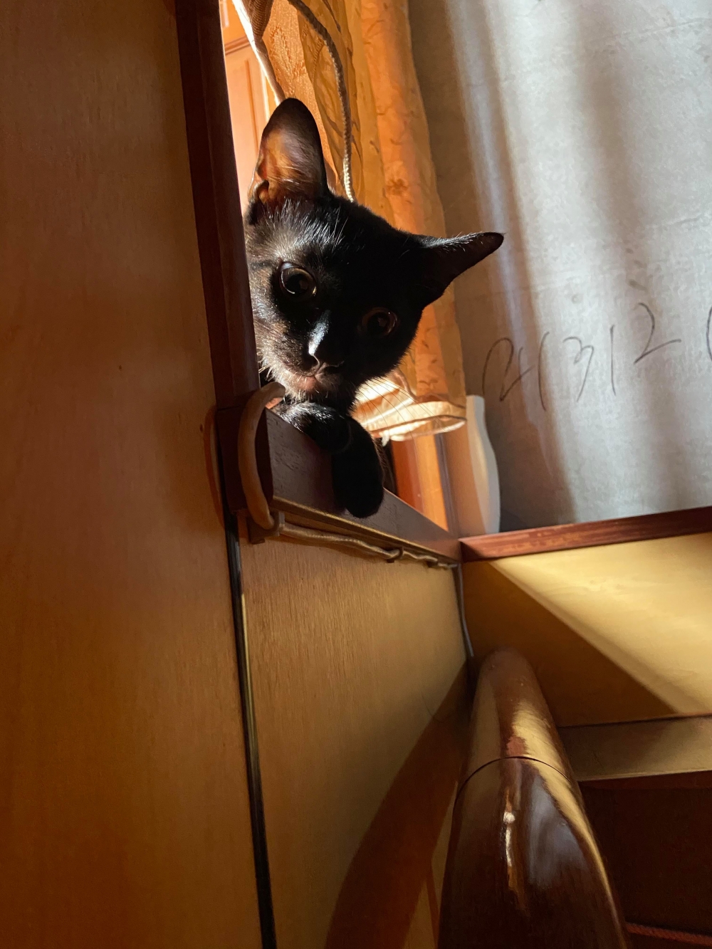 網友孫淳紜小姐提供