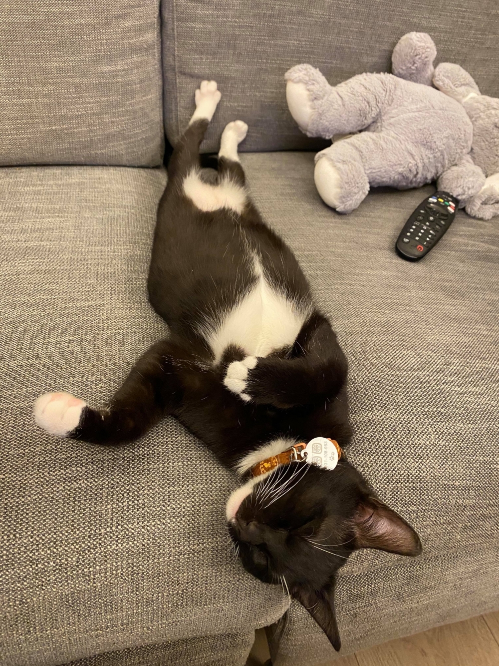 網友Ani Tsai小姐提供