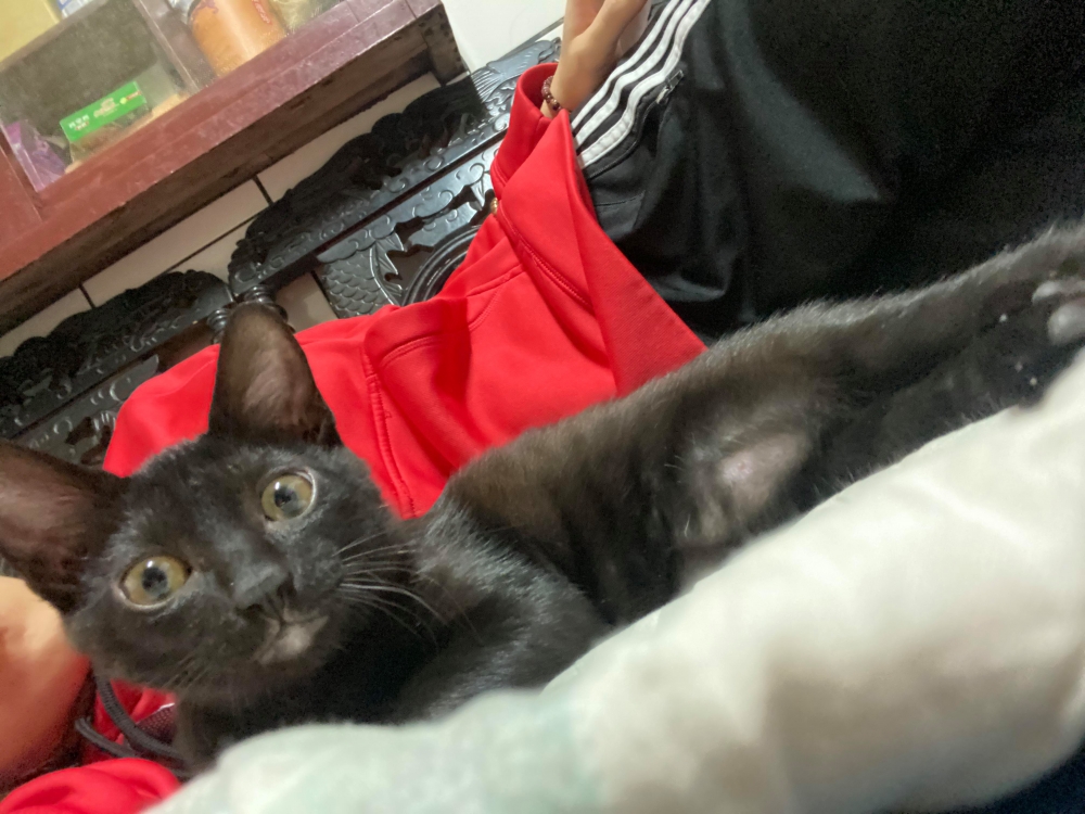 網友孫淳紜小姐提供