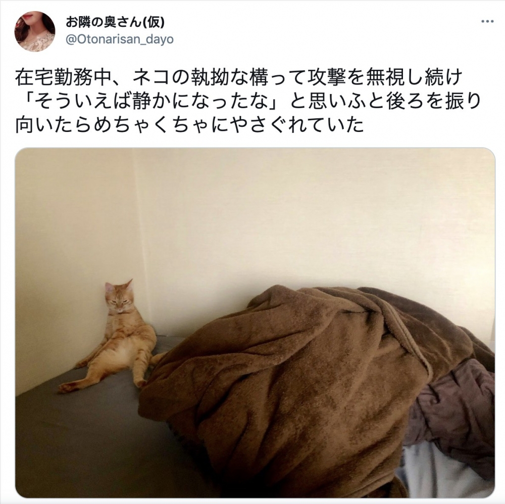 twitter @Otonarisan_dayo