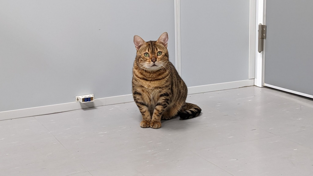 網友薛豹樂先生提供