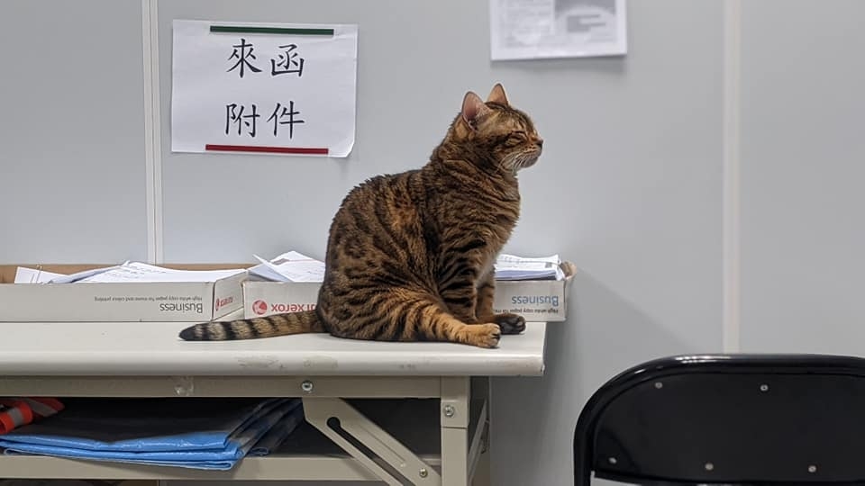 網友薛豹樂先生提供