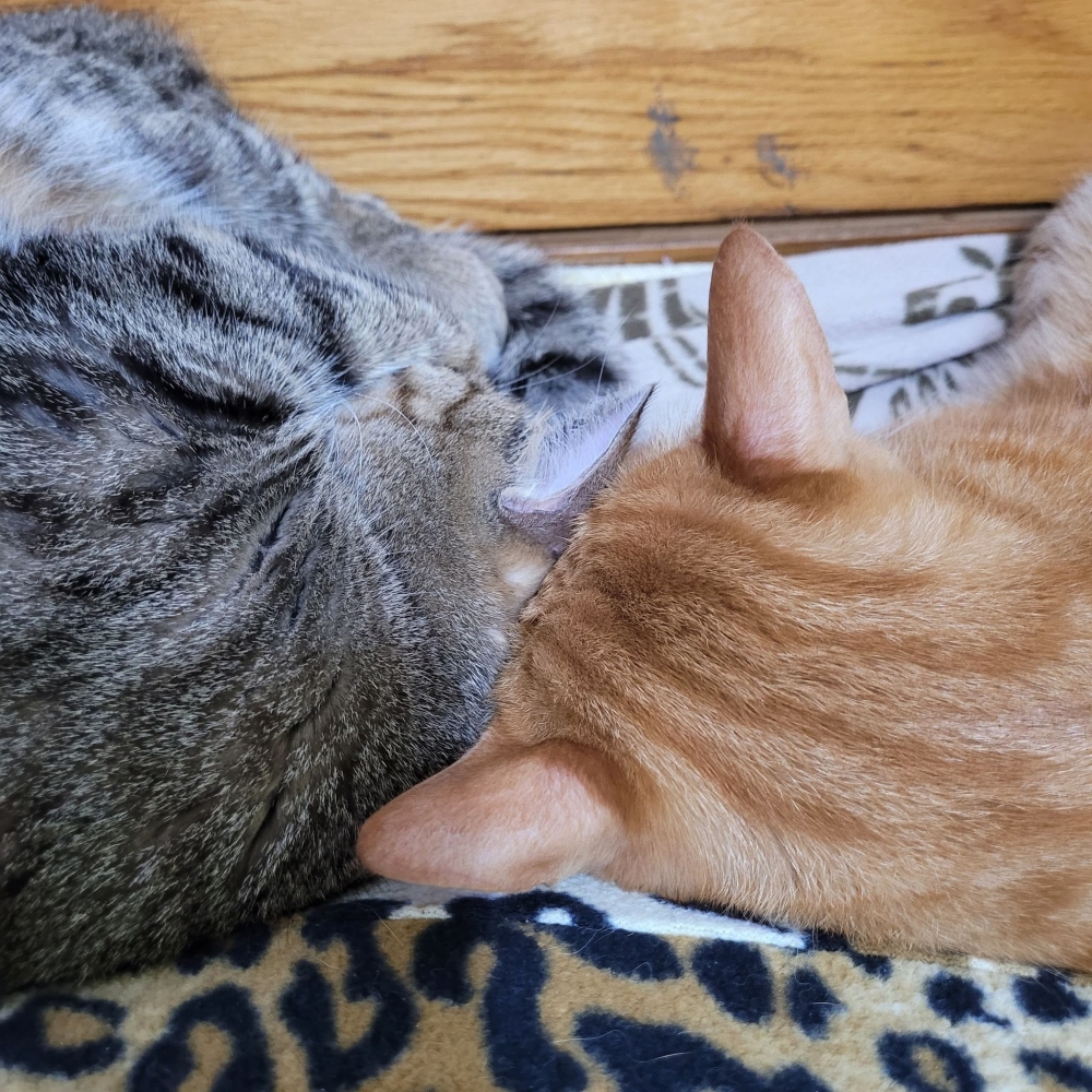 網友王筱梅小姐提供