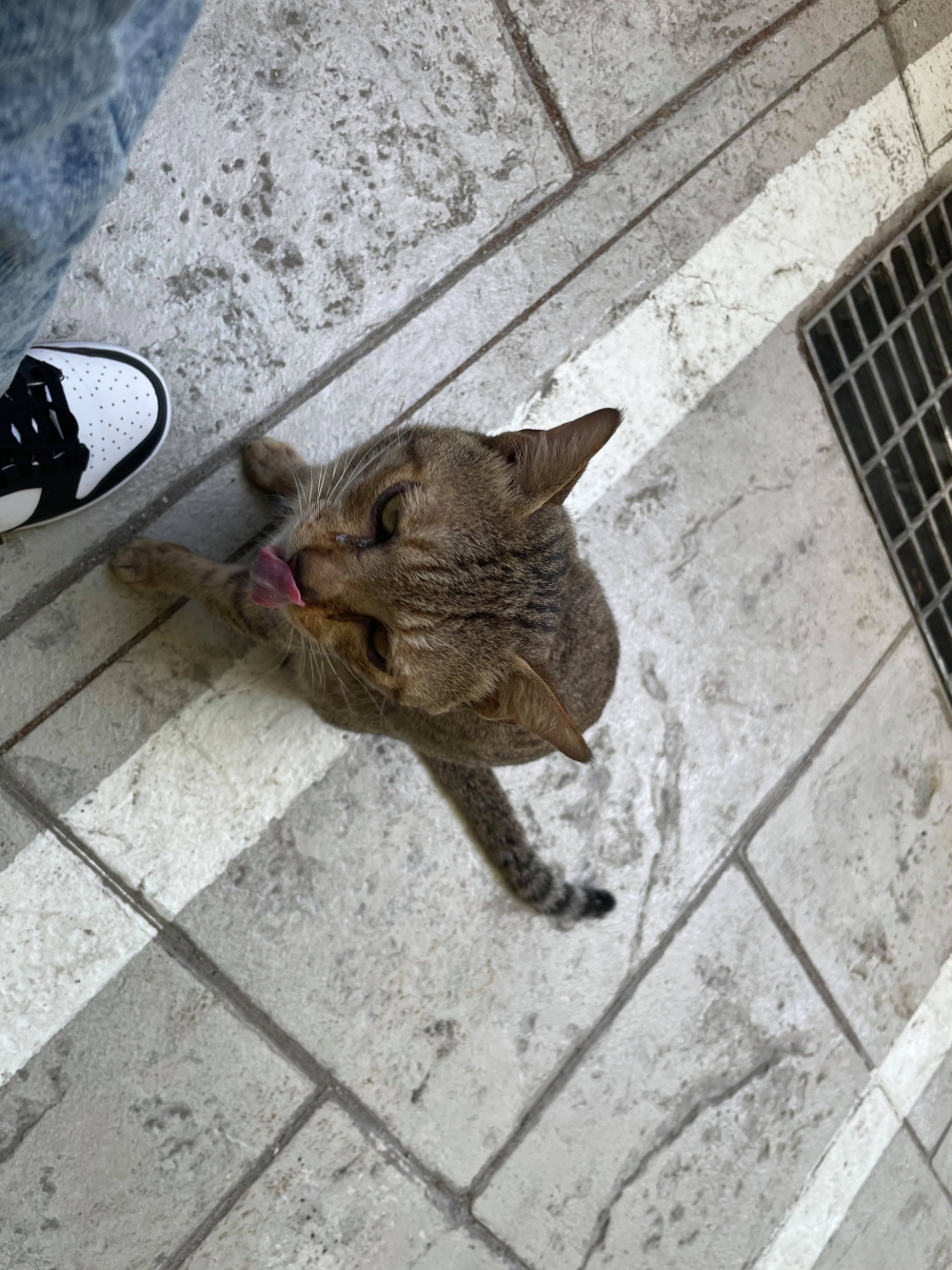 網友胡小婷小姐提供