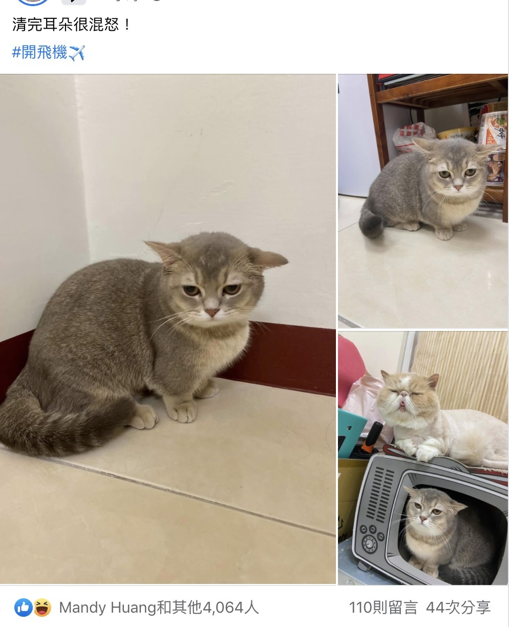 網友邱湘甯小姐提供