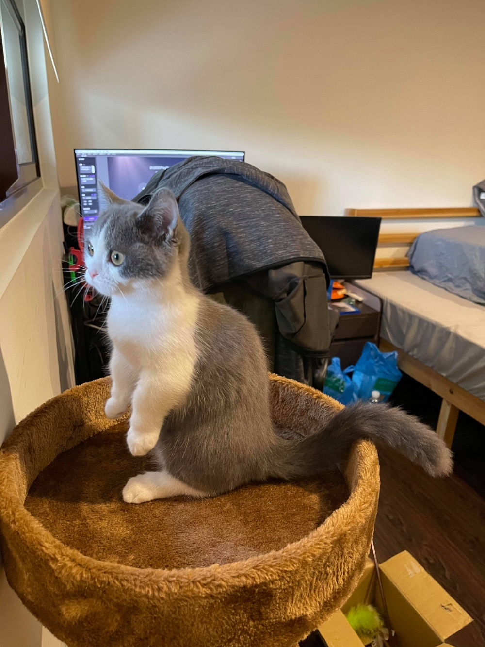 網友王震宇先生提供