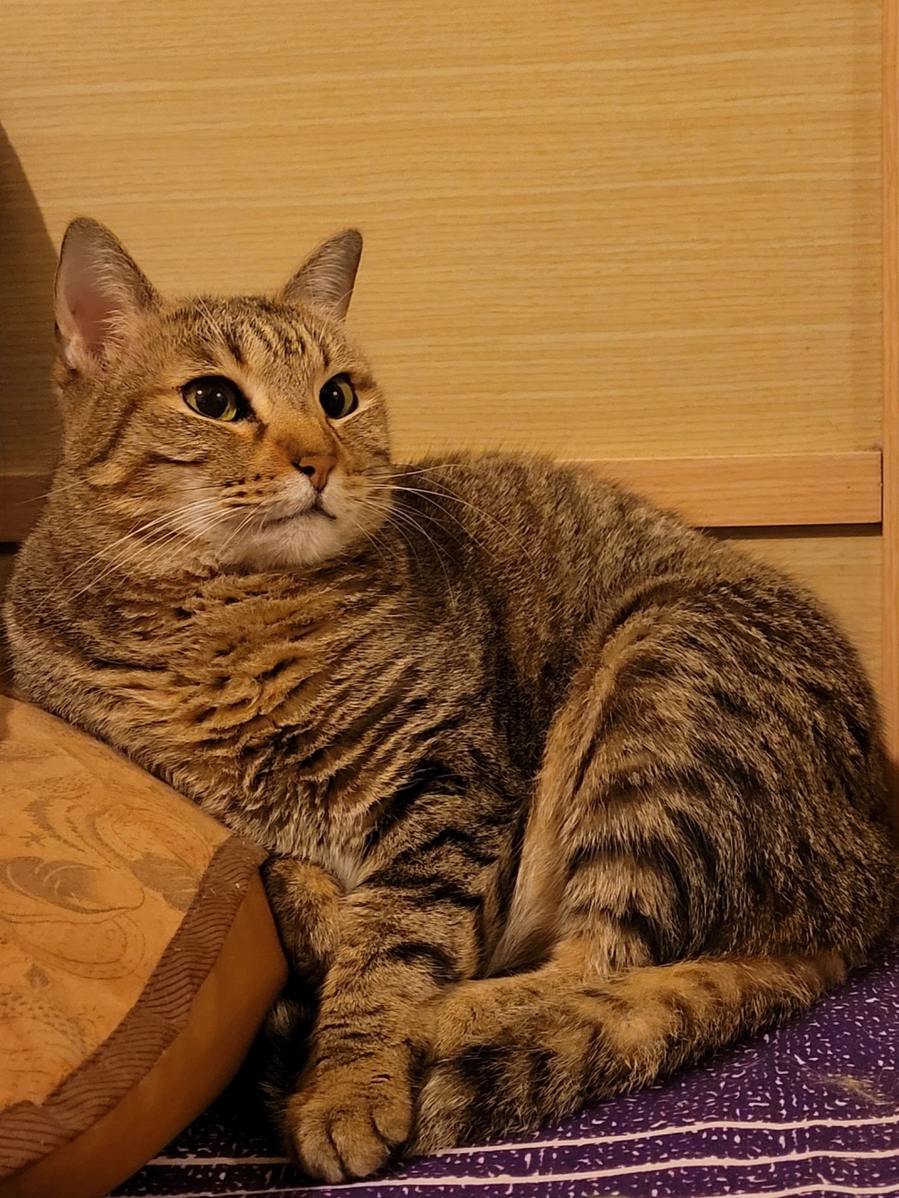 網友王筱梅小姐提供