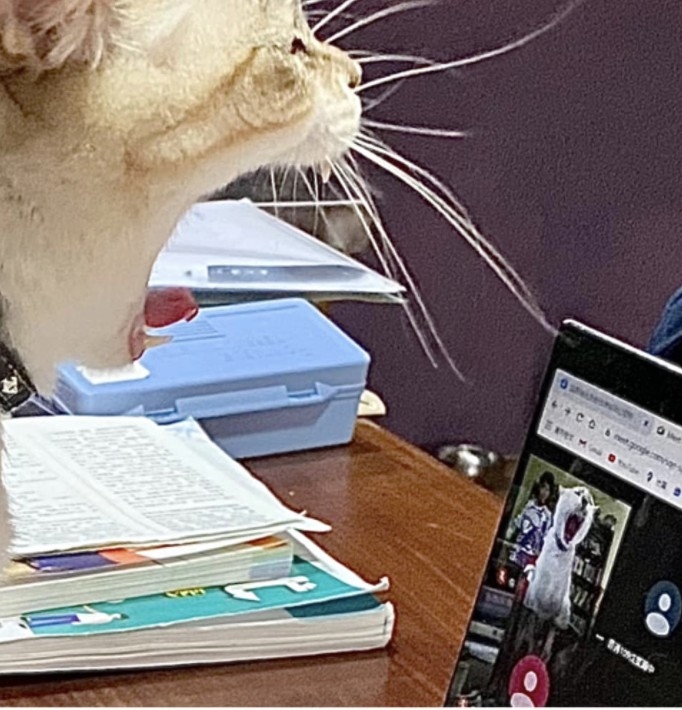 網友李曉芳小姐提供