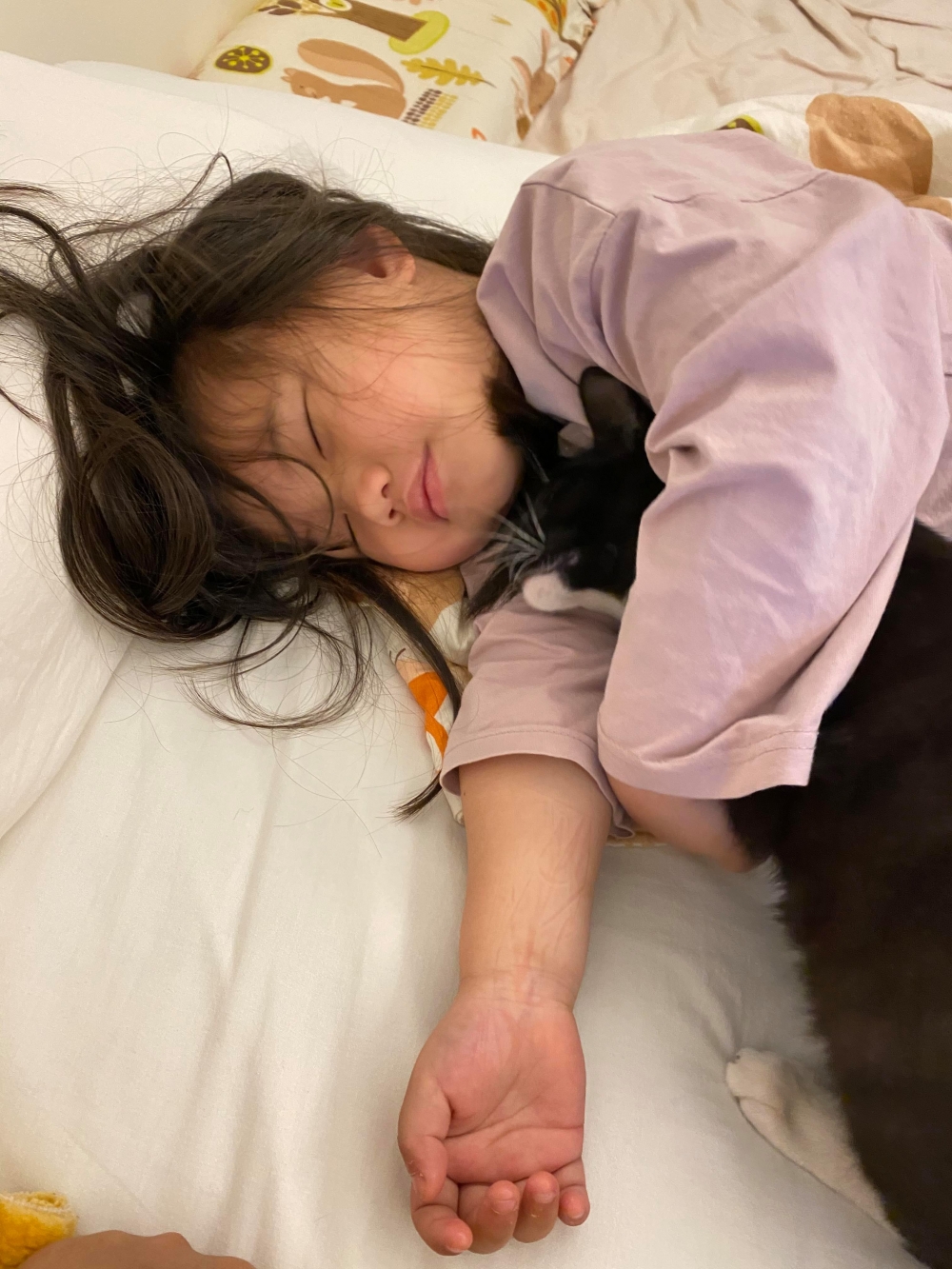 網友Ani Tsai小姐提供