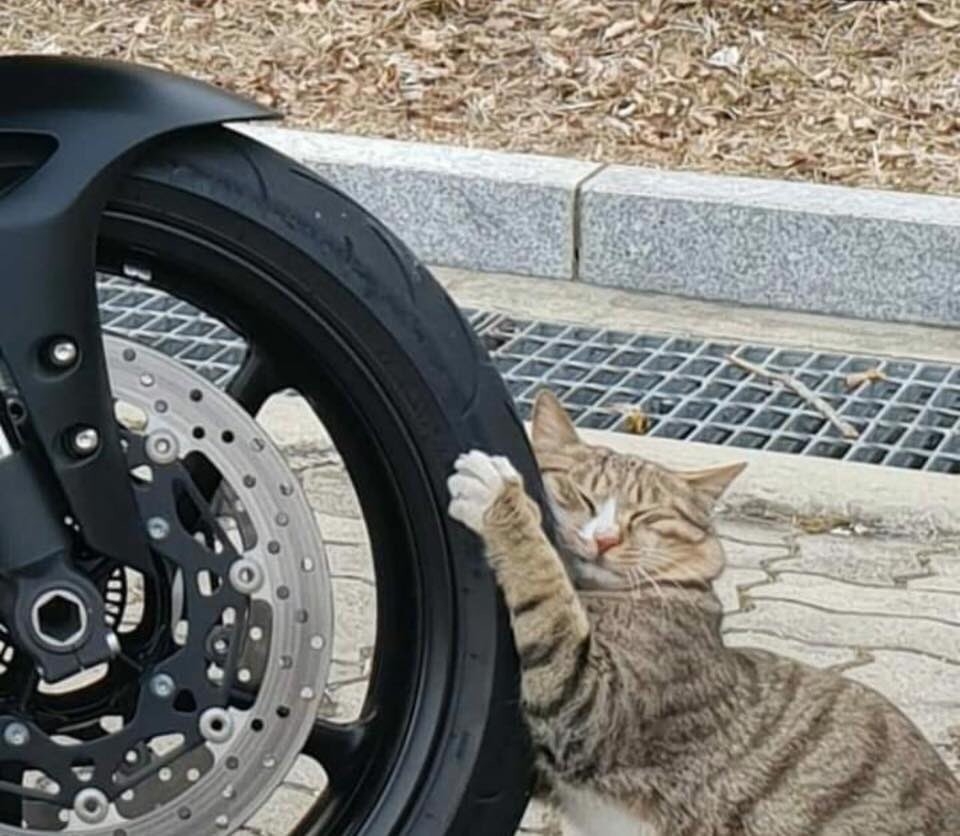  twitter @momimomi352