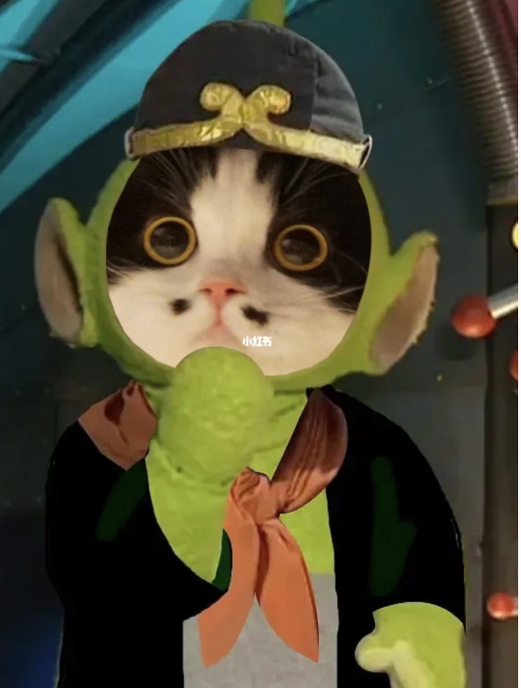 小紅書@小五郎肉包包