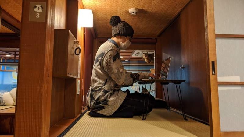 twitter @yasunofu3