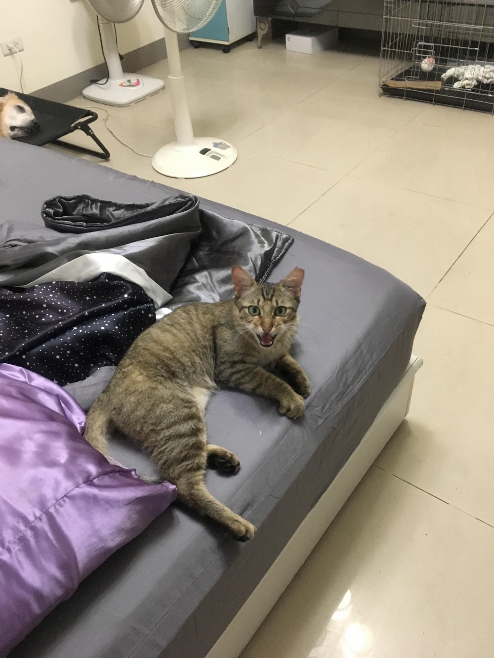 網友Ian Lin先生提供