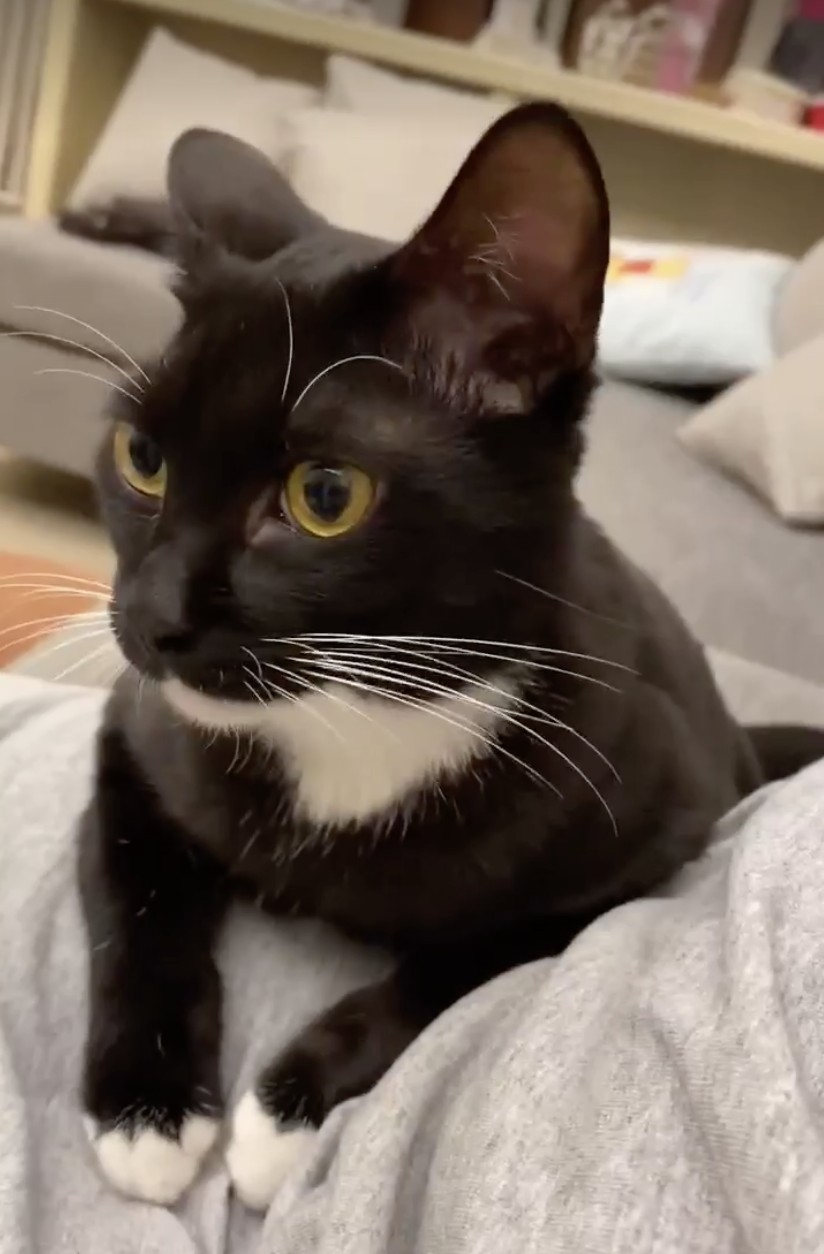 網友Ani Tsai小姐提供