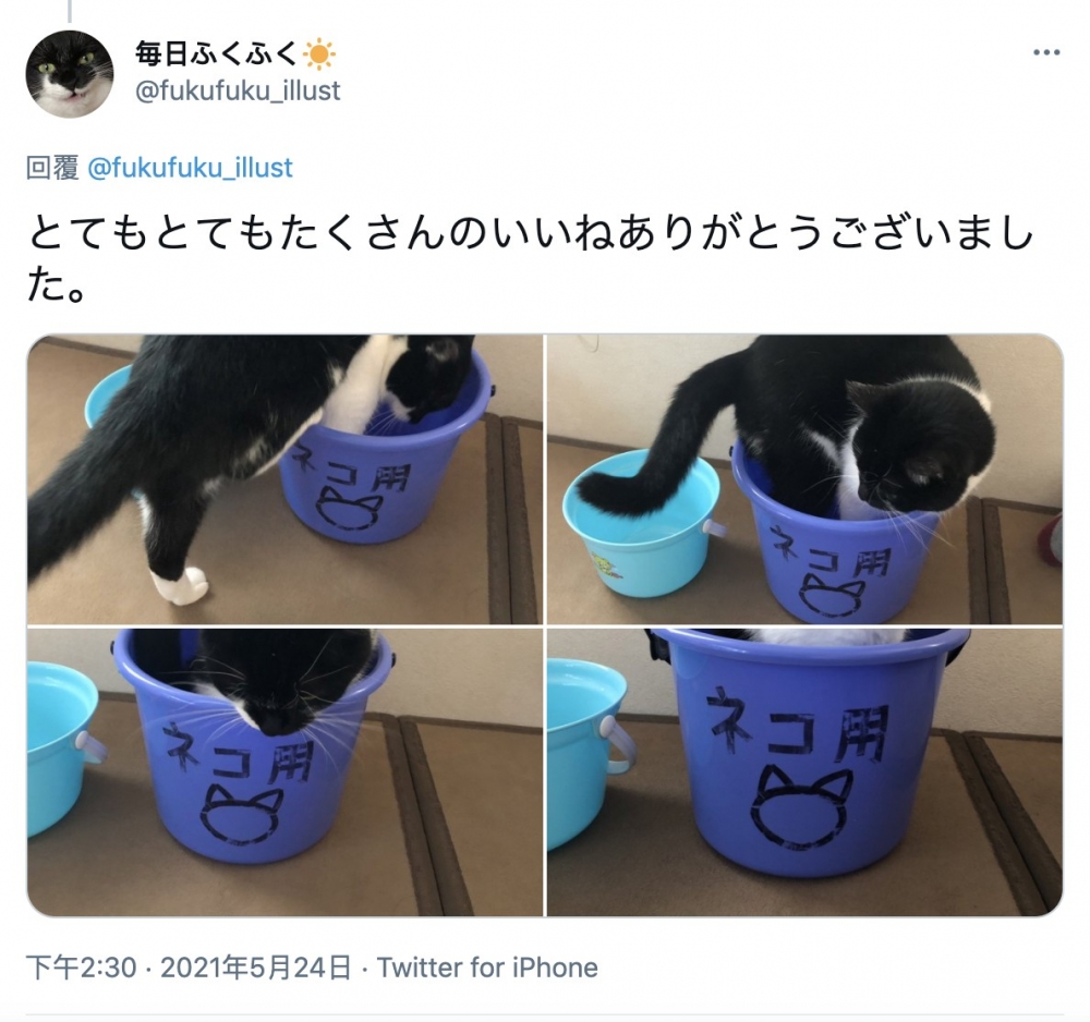 twitter @fukufuku_illust  