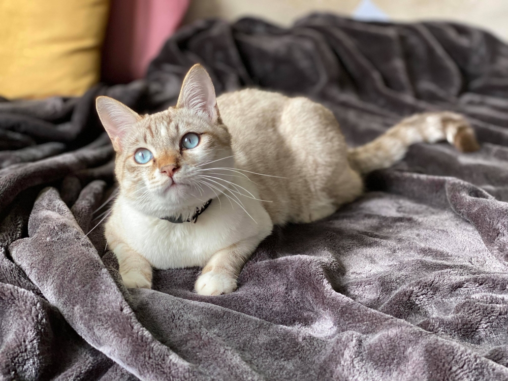 網友李曉芳小姐提供