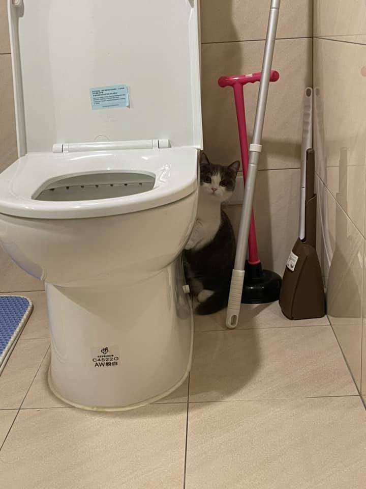 網友王震宇先生提供