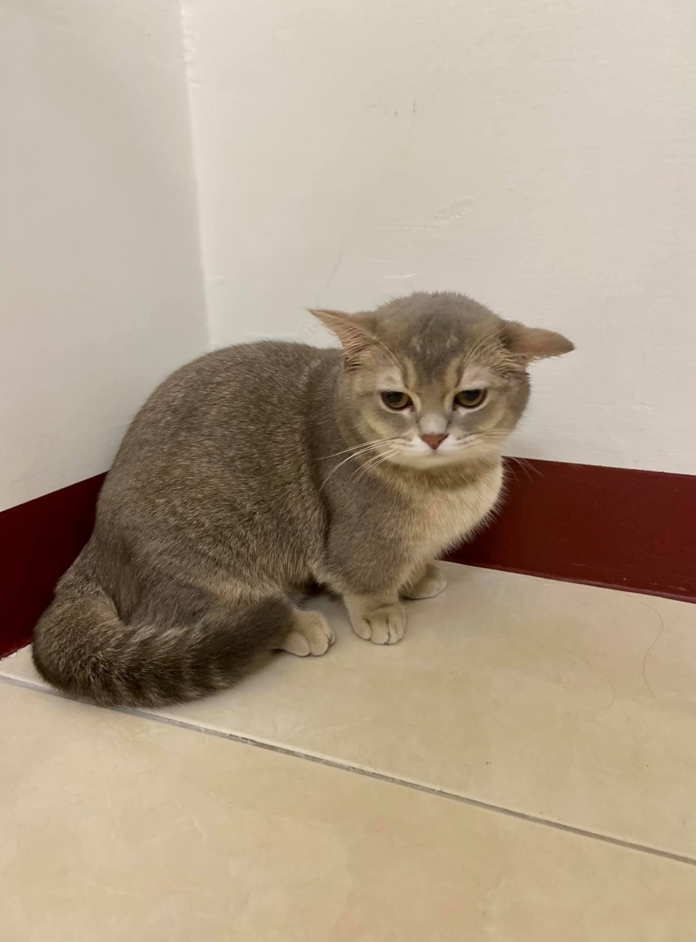 網友邱湘甯小姐提供