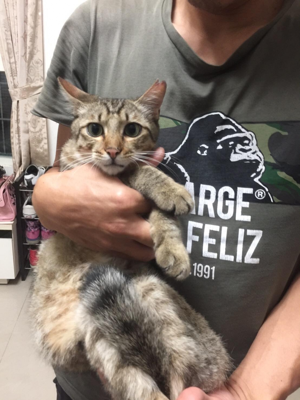 網友Ian Lin先生提供