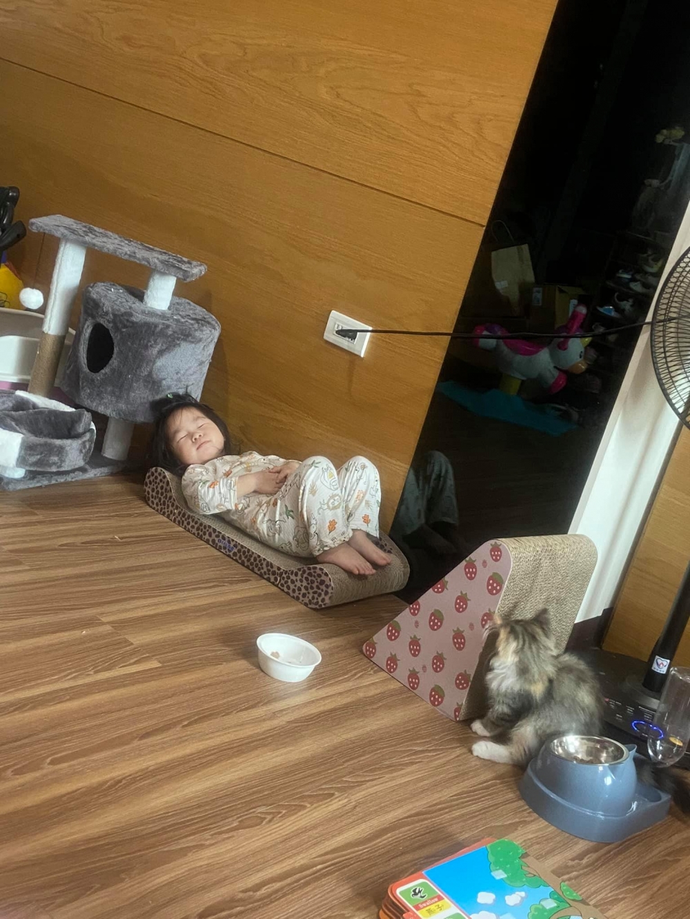 網友Ding Ding提供