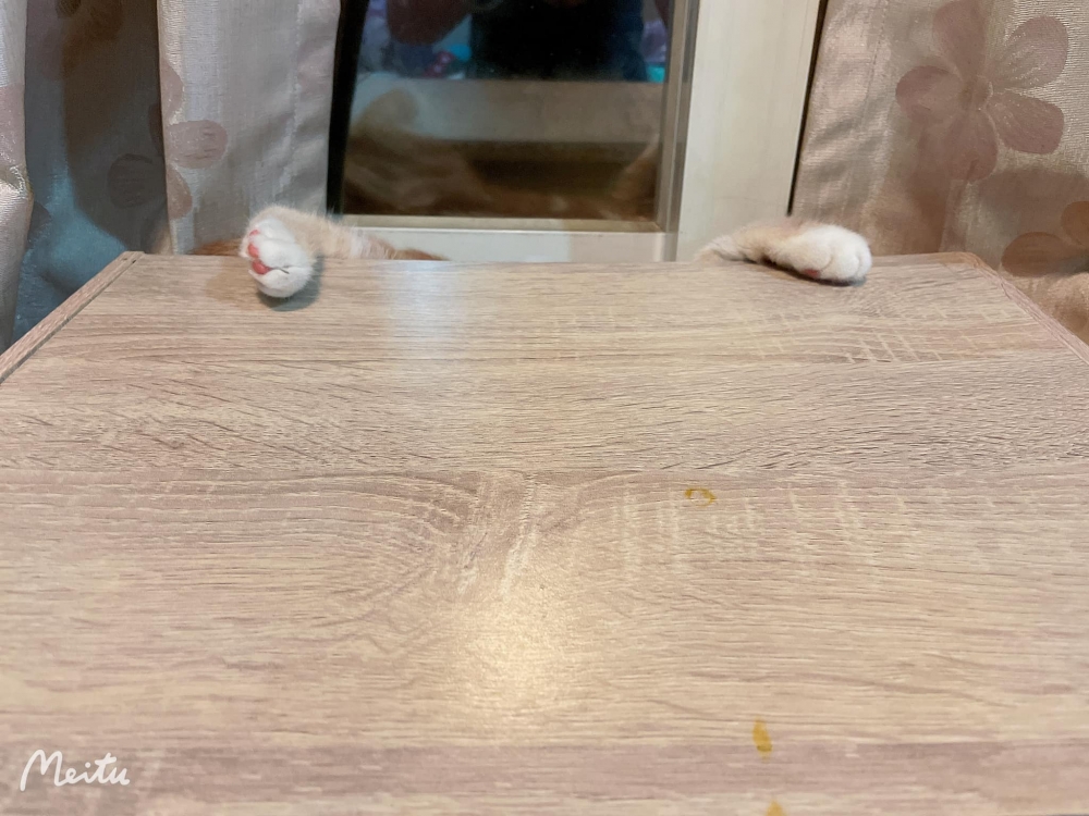 網友王婕寧小姐提供