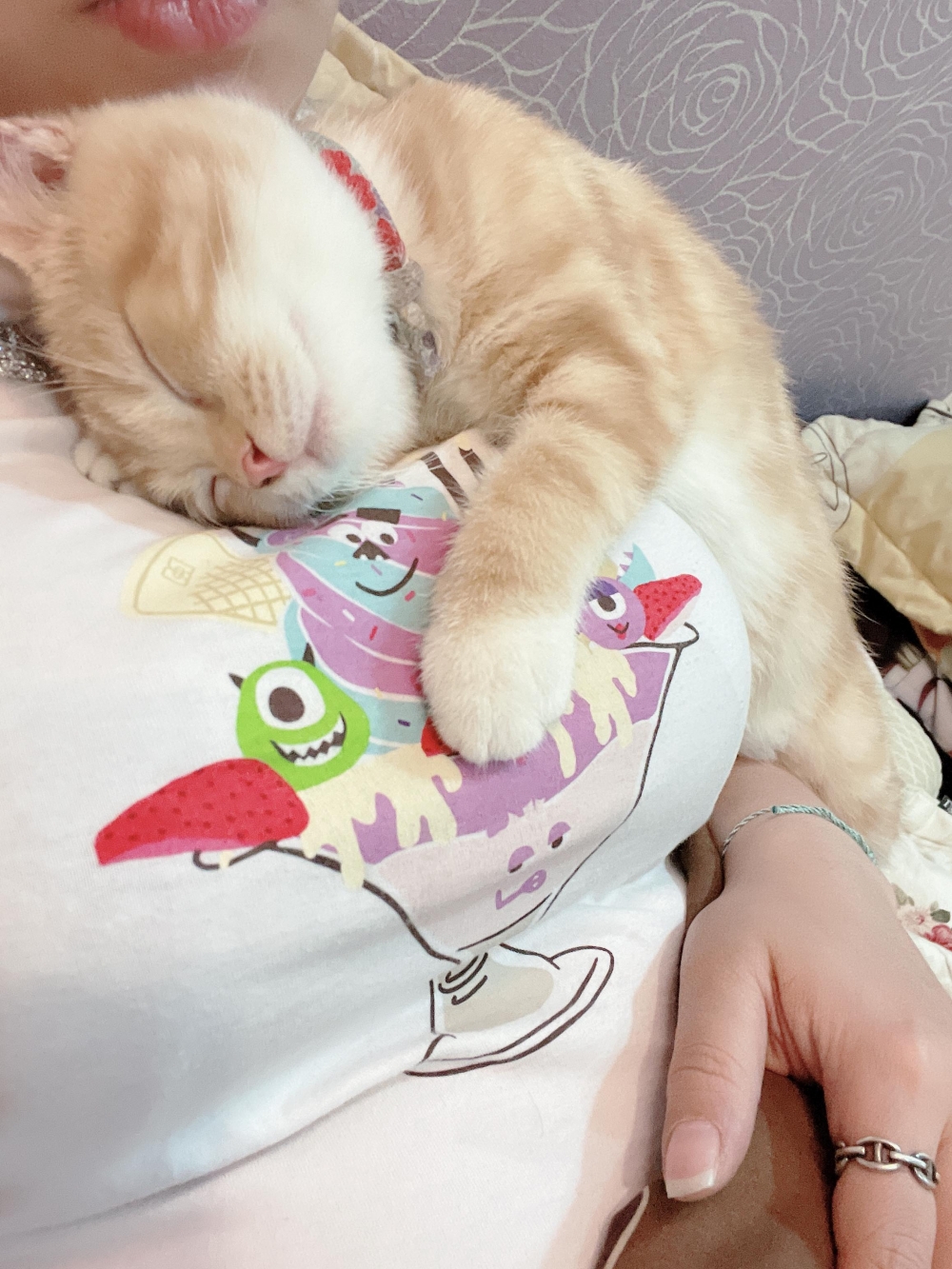 網友王婕寧小姐提供