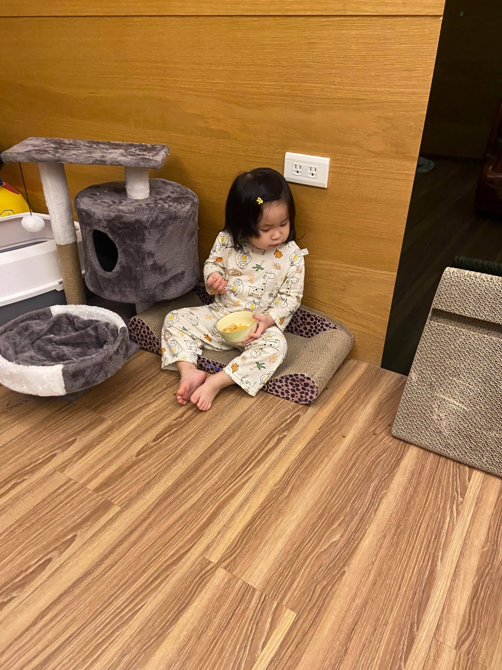 網友Ding Ding提供