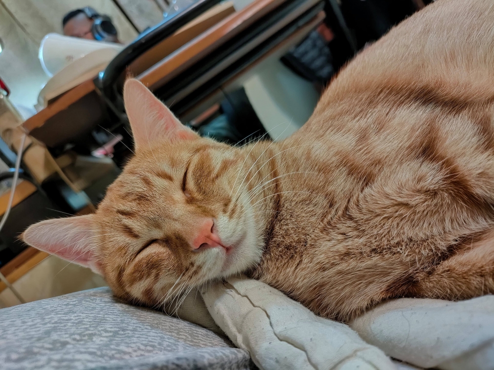 網友Chen Guanan小姐提供