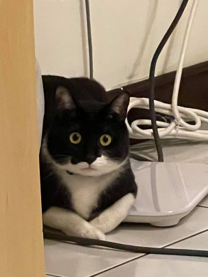 網友Sylvia Jiang小姐提供