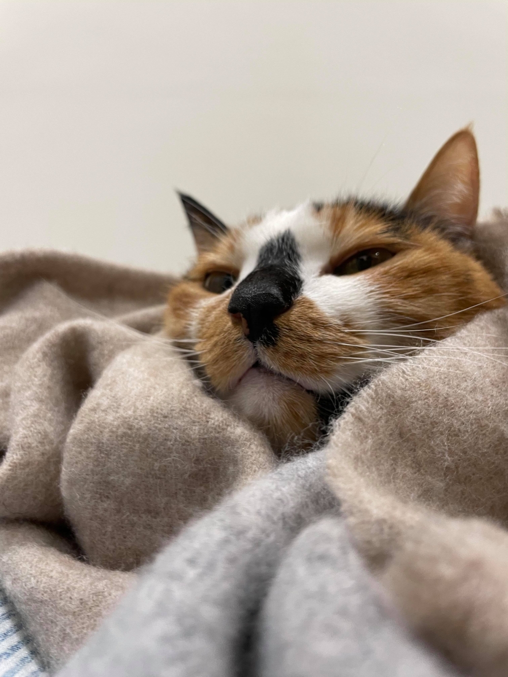 網友Chun Huang提供