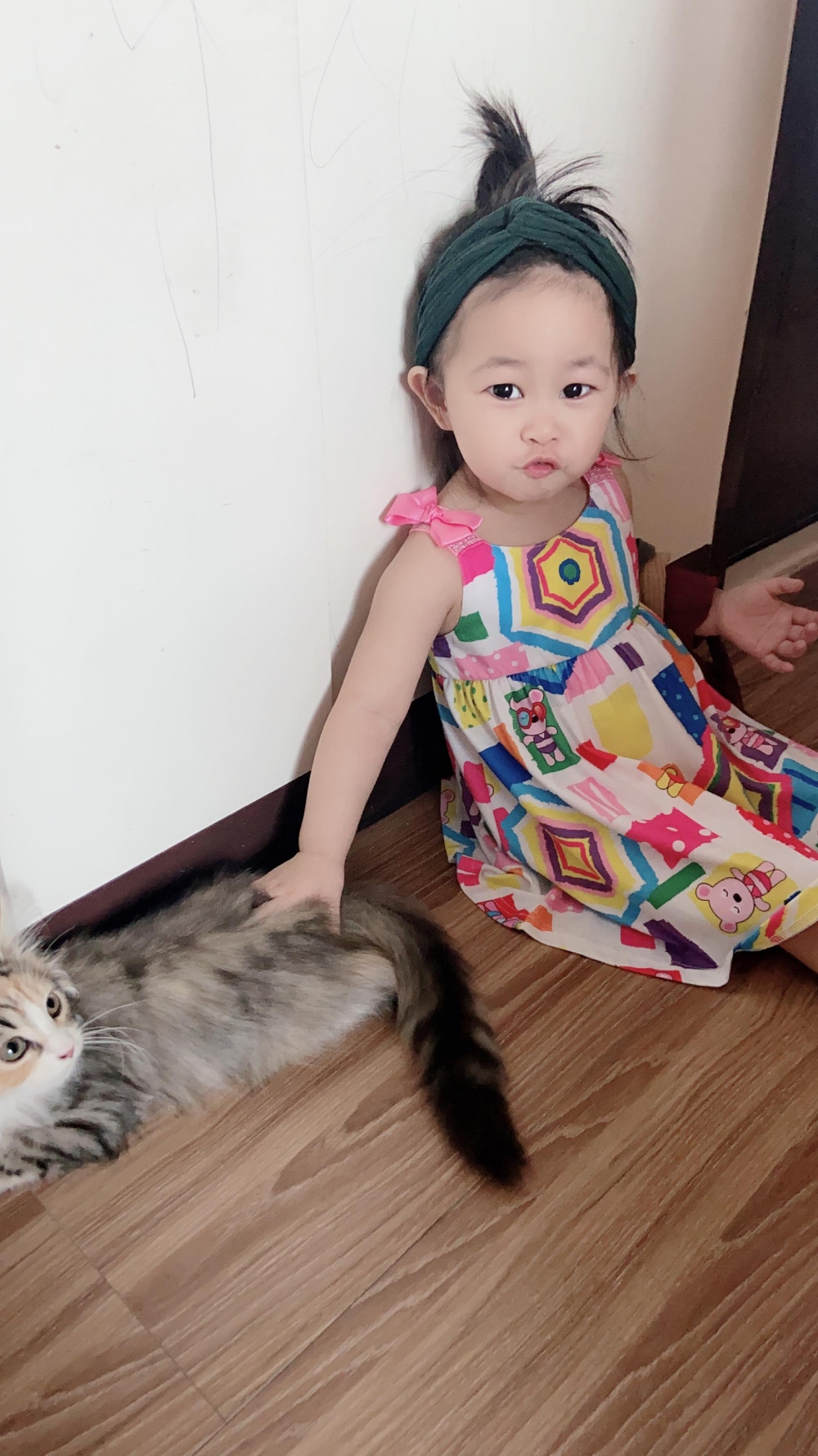 網友Ding Ding提供