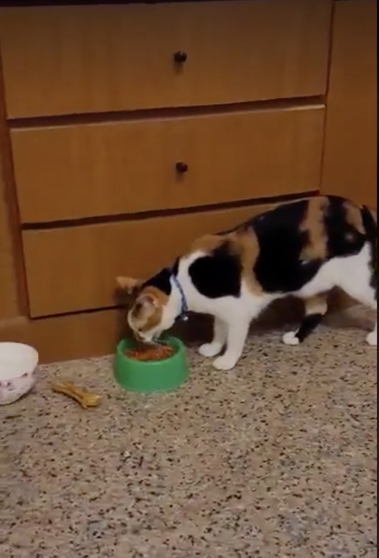 網友尤奕勝先生提供