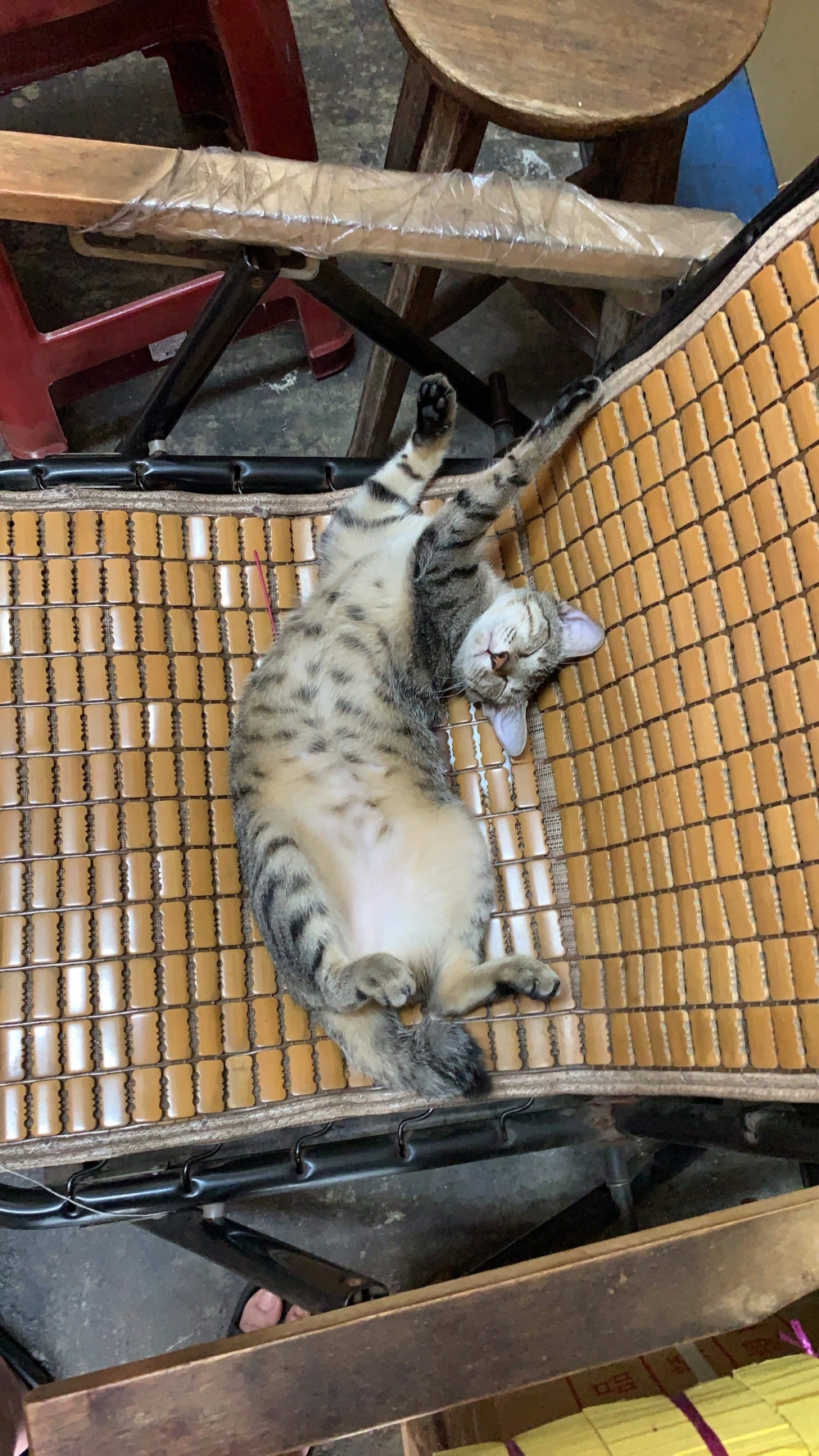 網友謝小珮小姐提供