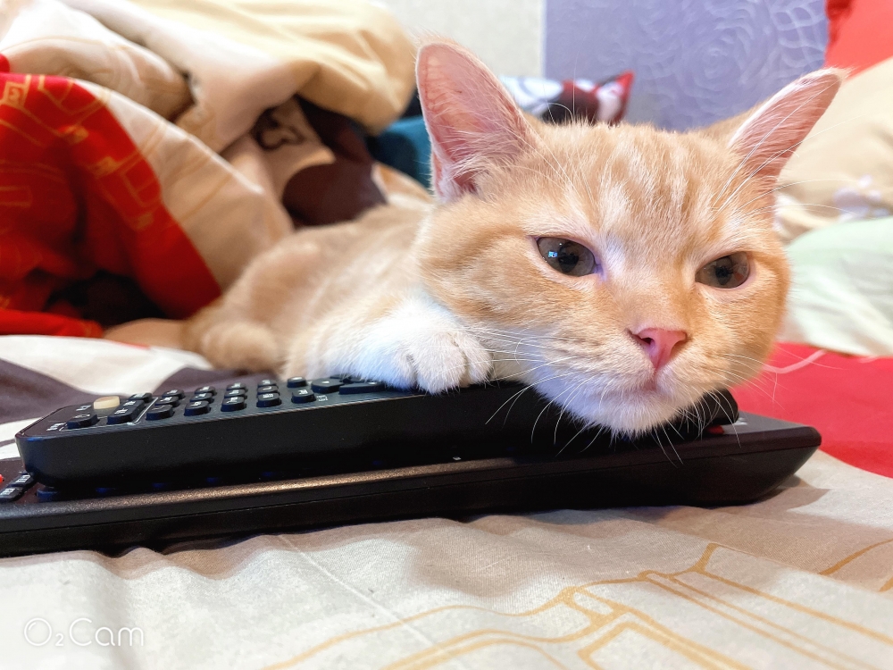 網友王婕寧小姐提供