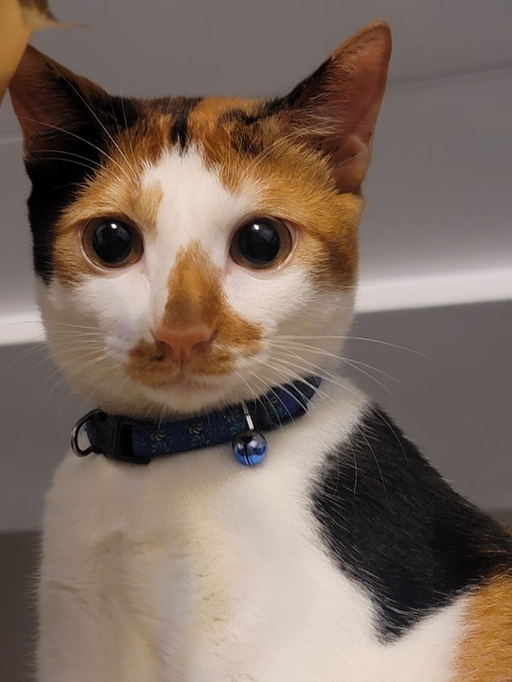 網友尤奕勝先生提供