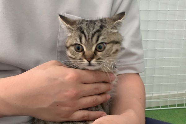 twitter @bobo_mumu0302 