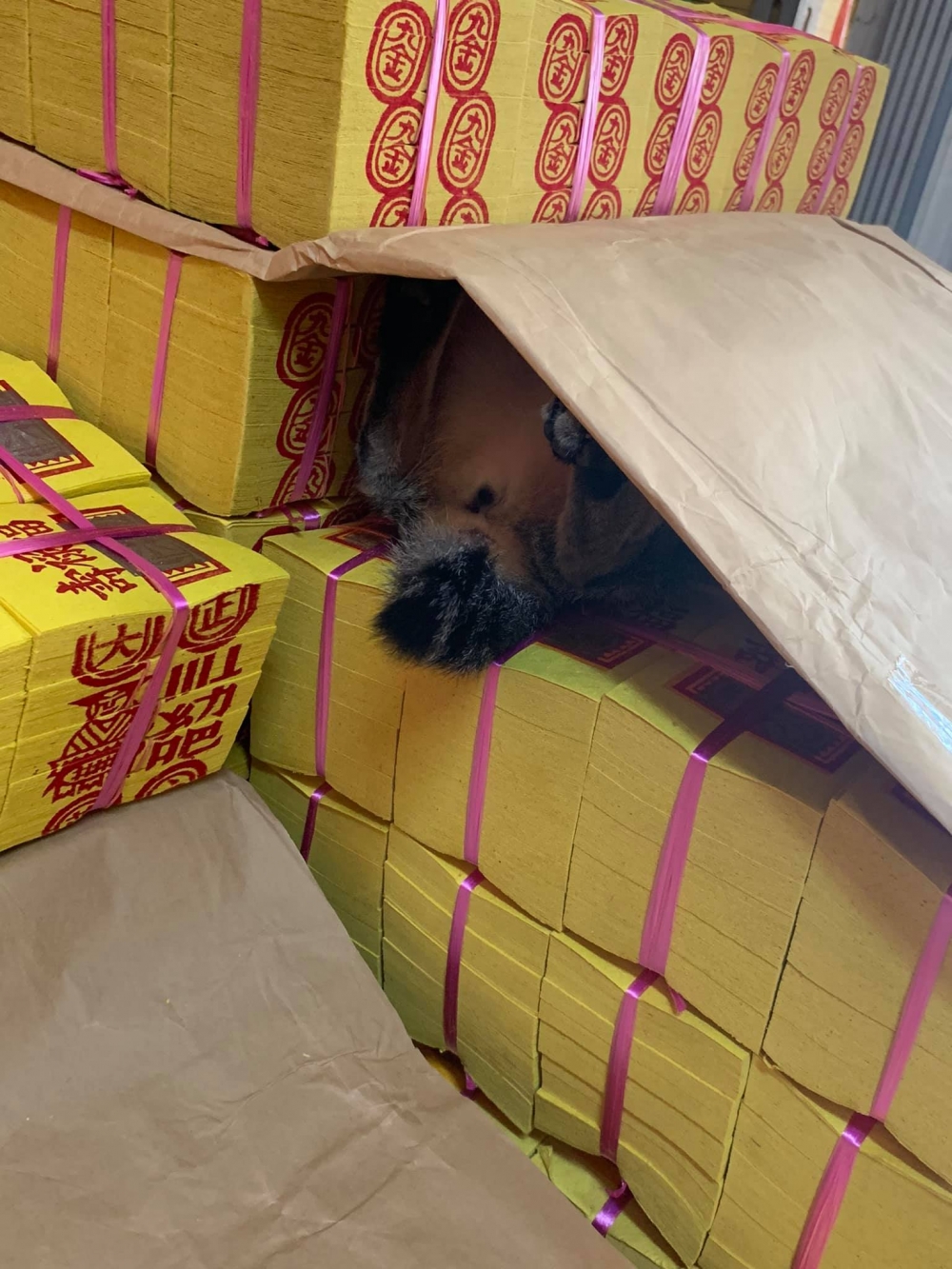 網友謝小珮小姐提供