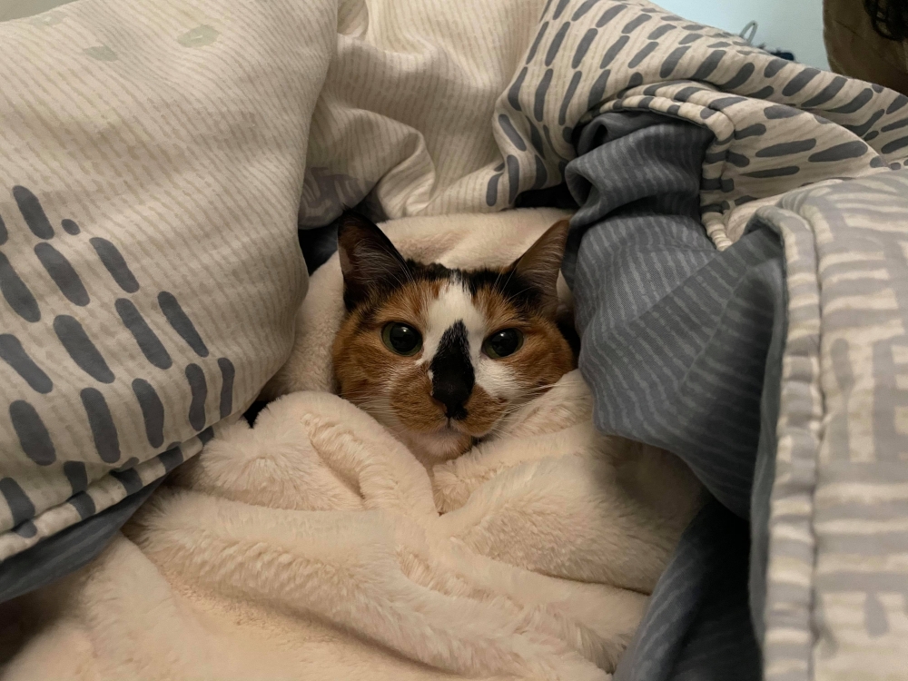 網友Chun Huang提供