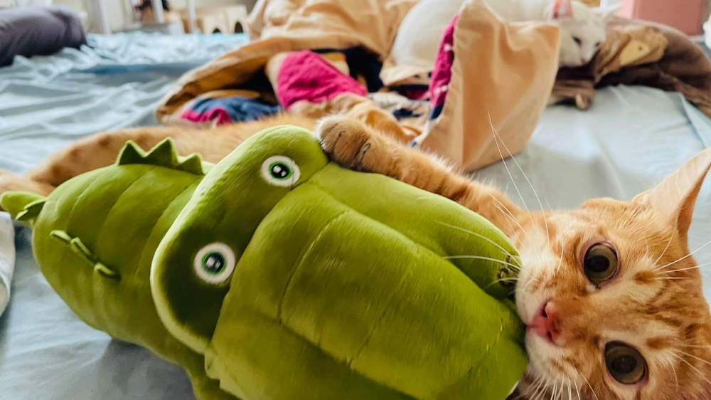 FB 三角鐵的功夫