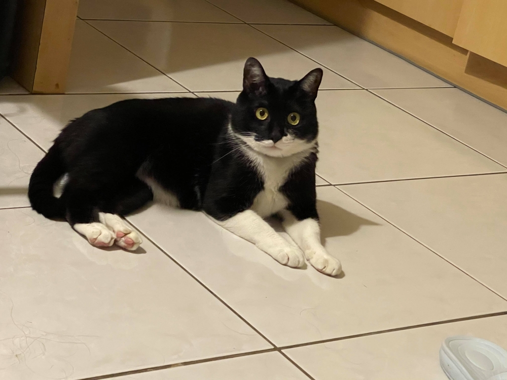 網友Sylvia Jiang小姐提供