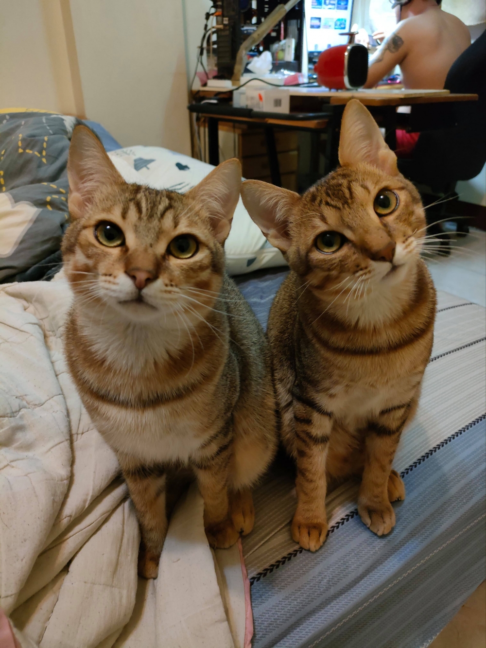 網友Chen Guanan小姐提供