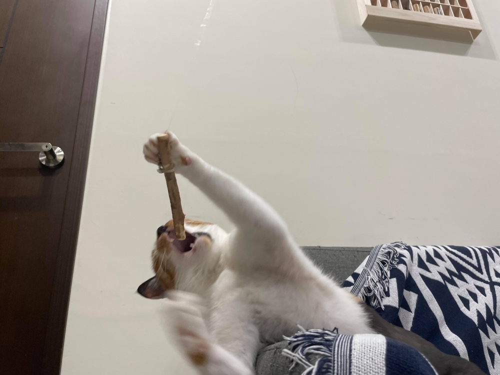 網友Chun Huang提供