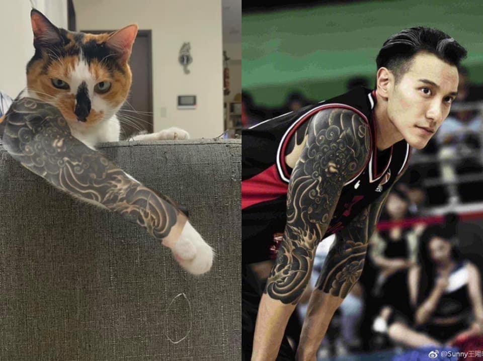 刺青貓2