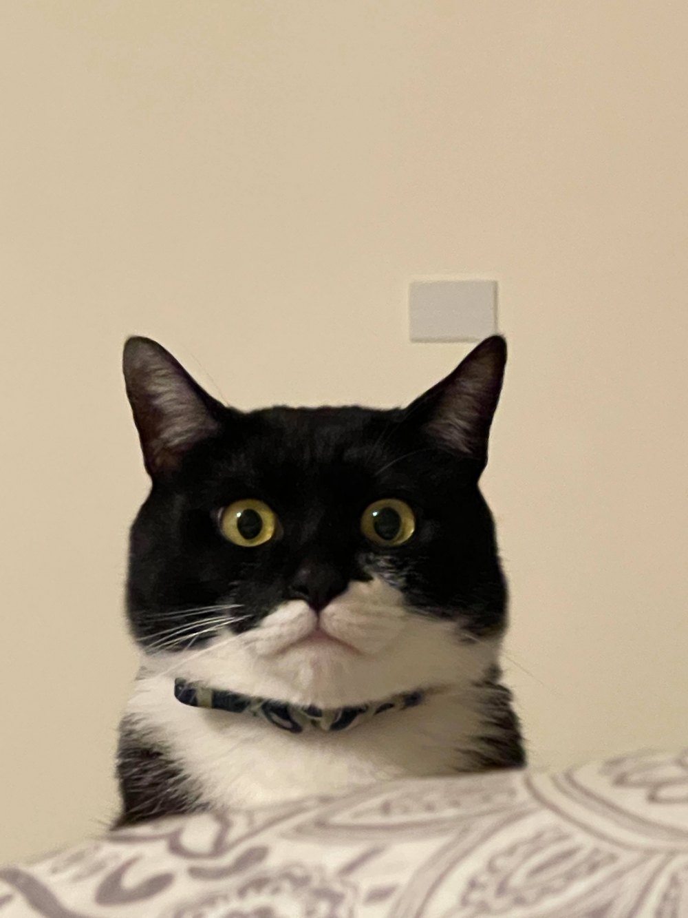 網友Sylvia Jiang小姐提供