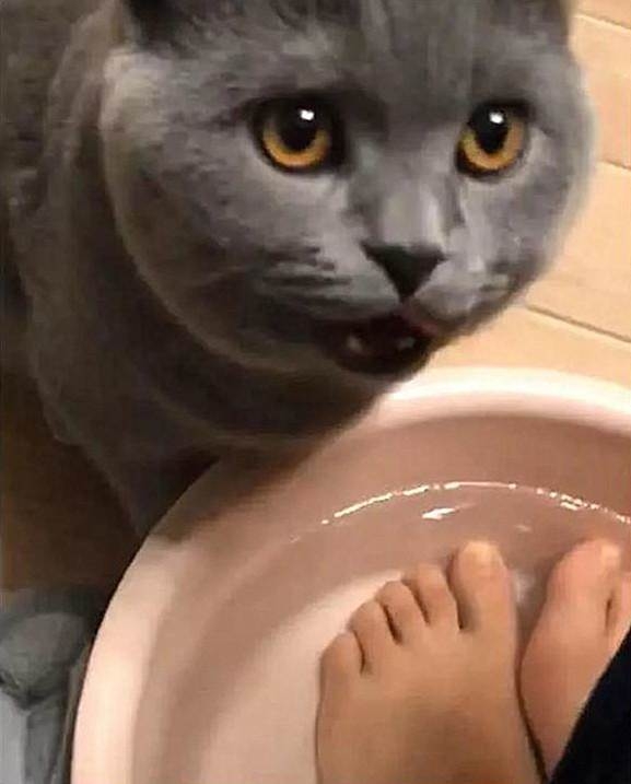喝洗腳水2