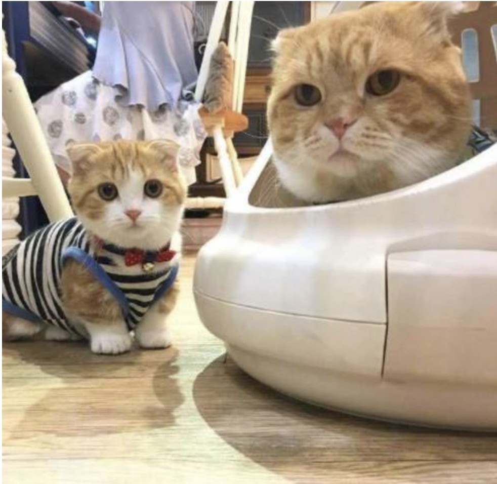 螢幕快照 2021-06-23 上午11.52.02