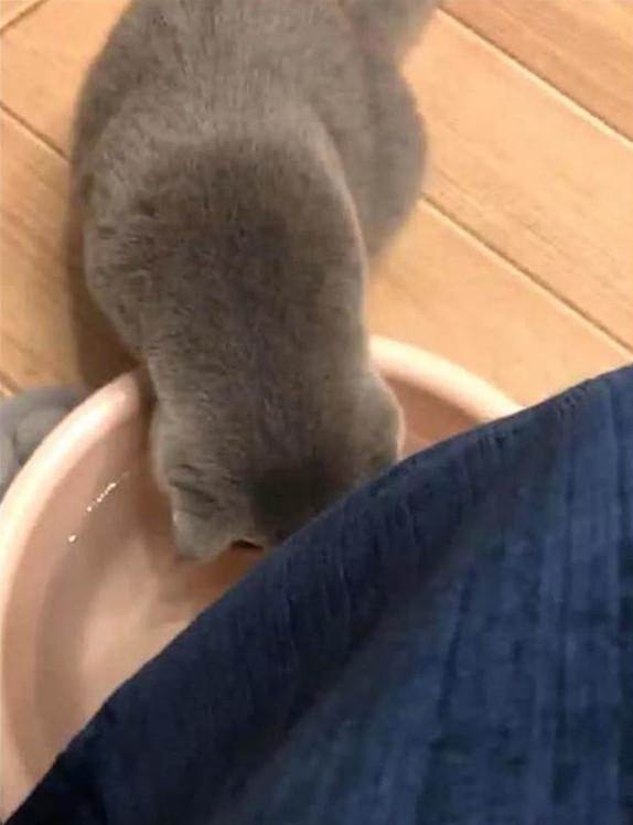 喝洗腳水