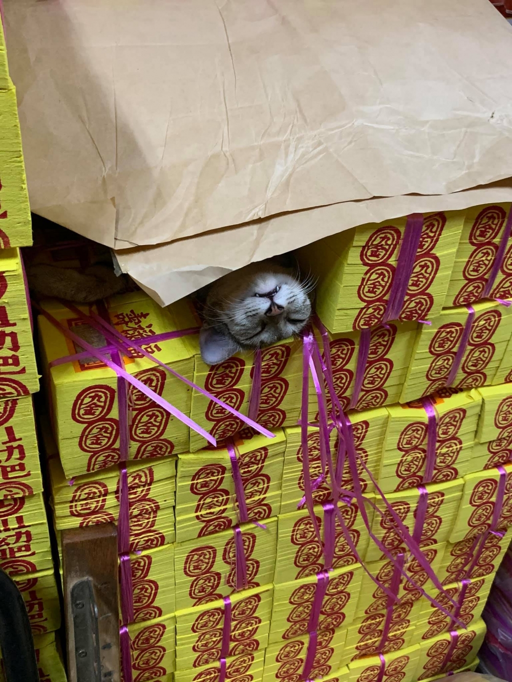 網友謝小珮小姐提供