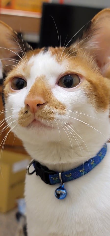 網友尤奕勝先生提供